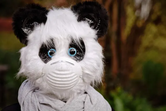 Kasino Mars Bet Tuki